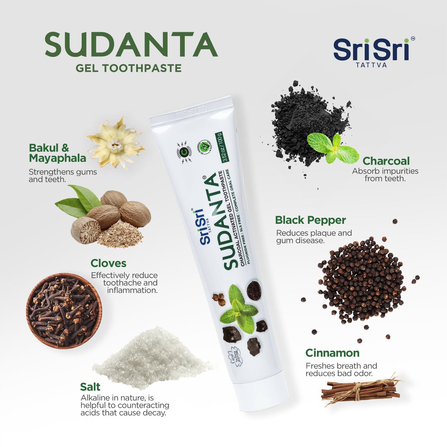 Sri Sri Tattva Cosmetics Sudanta Charcoal Toothpaste - Ayurvedic Oral Care