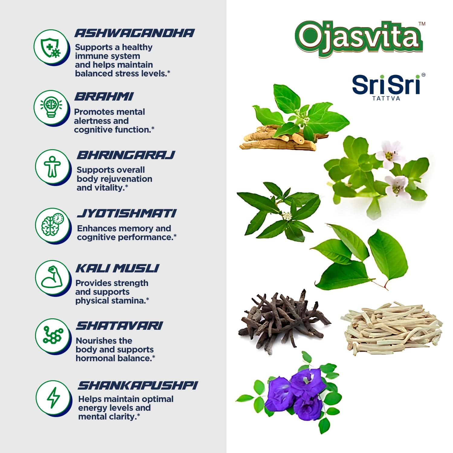 Sri Sri Tattva Herbs Ojasvita Herbal Health Drink - Chocolate