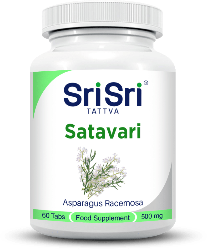 Buy Lactation Booster Supplement  Shatavari Powder / Aasparagus