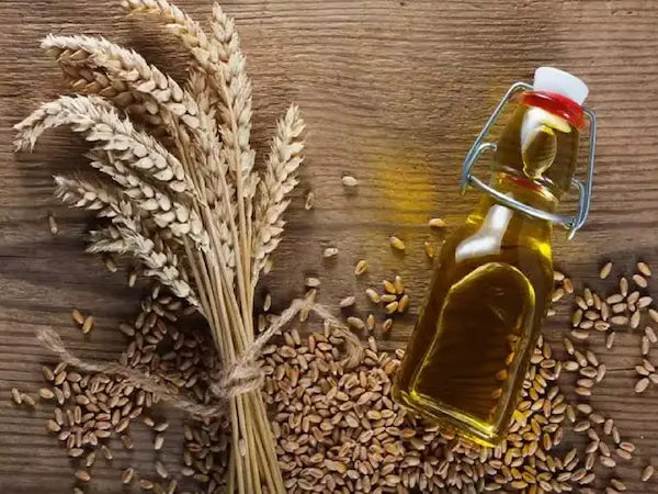 Glow Up with Wheat Germ Oil: Benefits Unleashed!