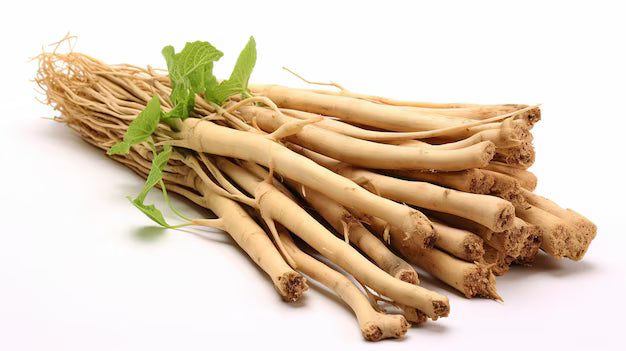 Bundle of dried miswak sticks with fresh mint leaves isolated on white background — natural oral care roots.