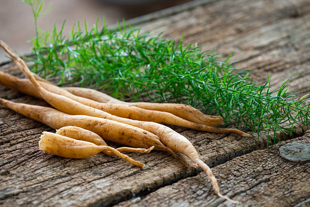  Fresh miswak roots with green herbs on a rustic wooden surface — natural teeth cleaning sticks.