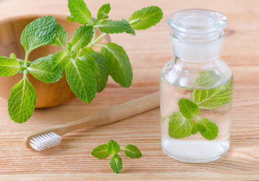 Natural mint mouthwash in a glass apothecary bottle with fresh mint leaves and bamboo toothbrush on wood.