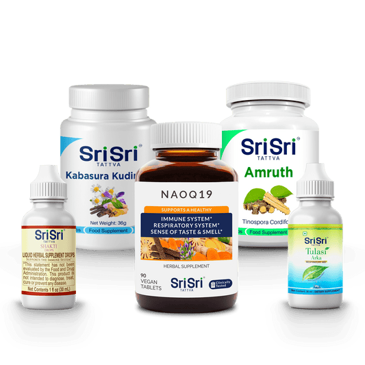 Sri Sri Tattva Ayurvedic Immunity Kit – herbal supplement bundle for immune support 