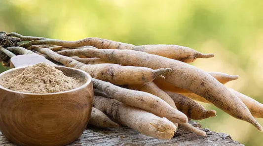 Shatavari: Empowering Women's Health with Nature's Secret