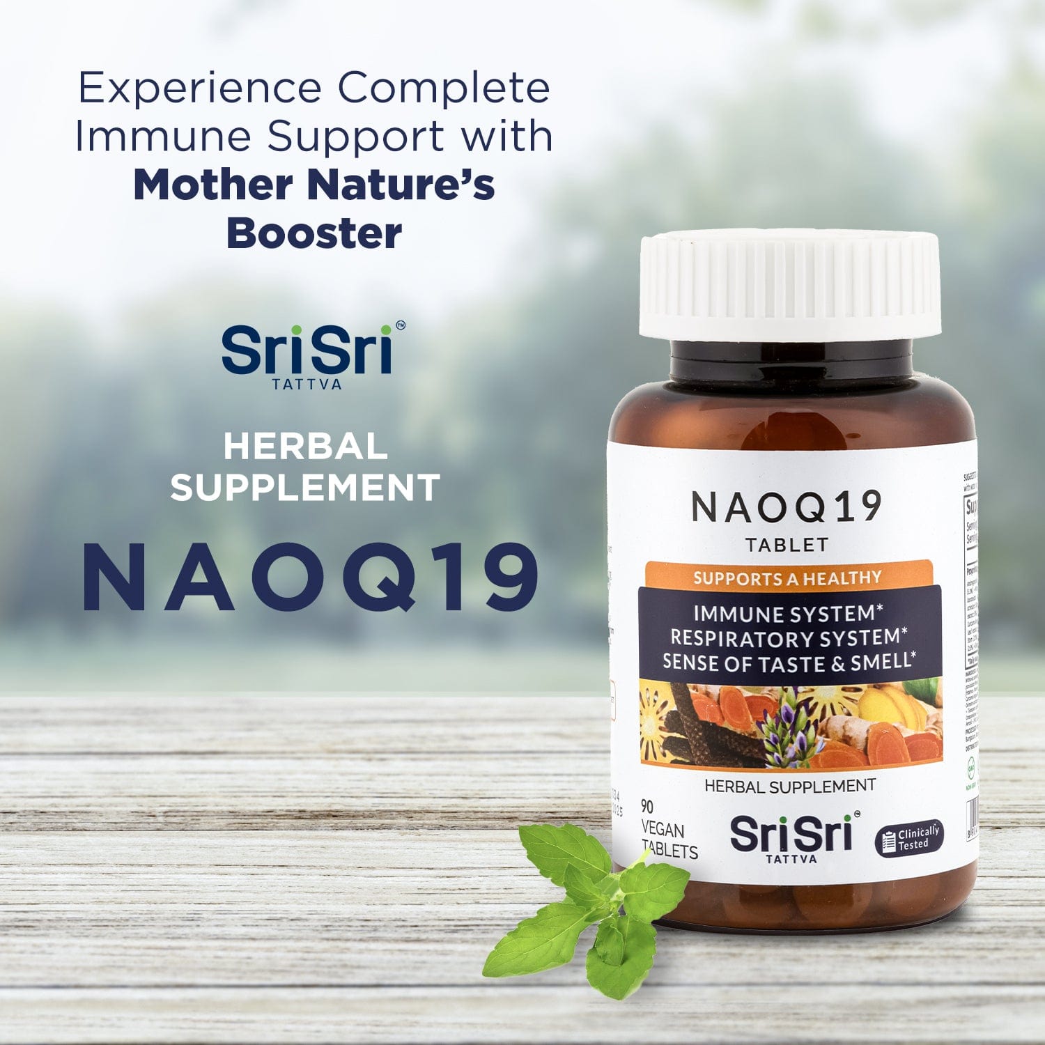 Sri Sri Tattva Herbs NAOQ19 - Immunity Support