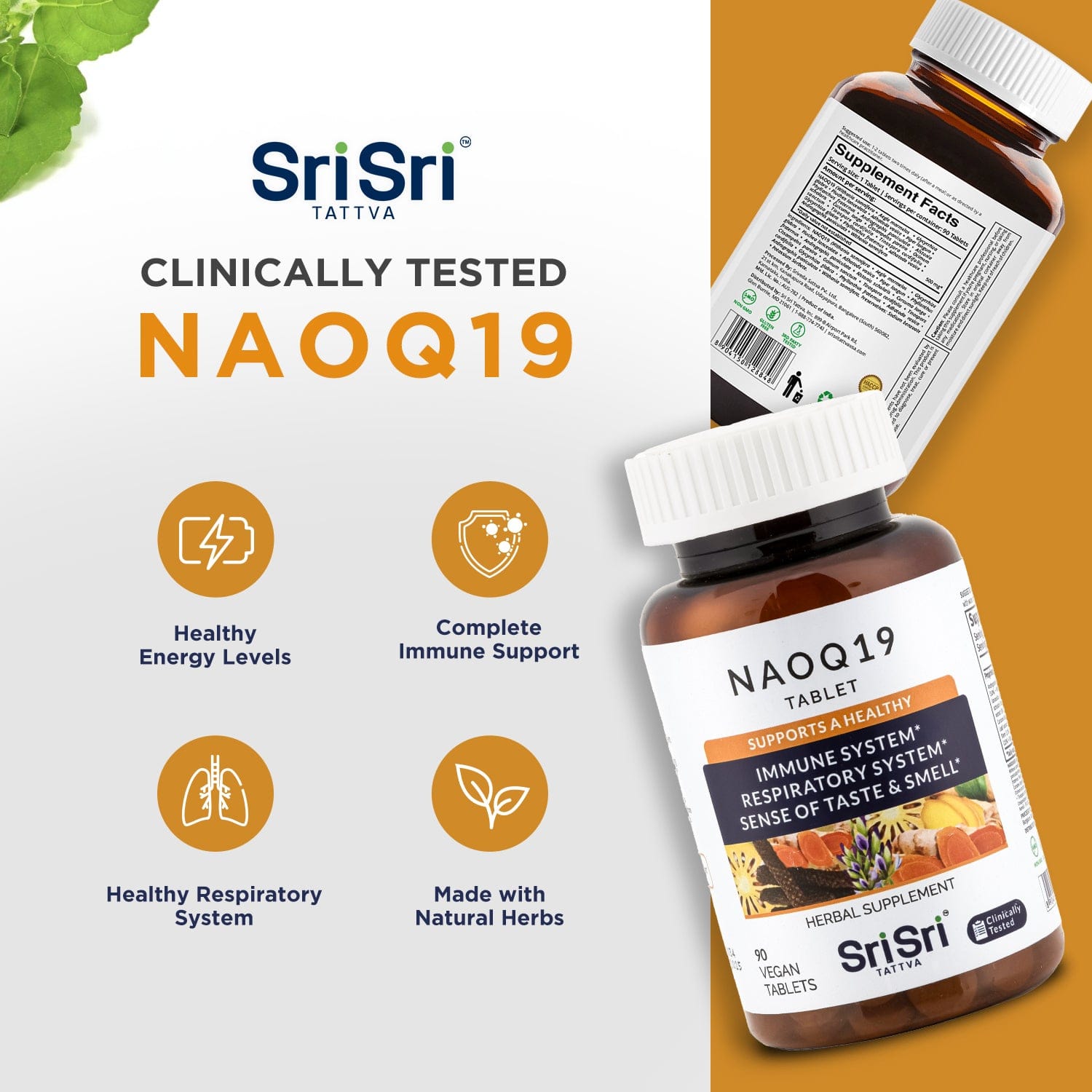 Sri Sri Tattva Herbs NAOQ19 - Immunity Support